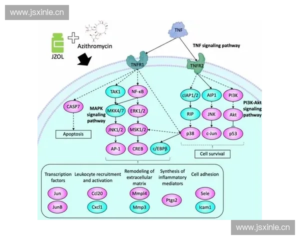Dota2音叉神器全解析：深入探讨其独特机制与策略运用