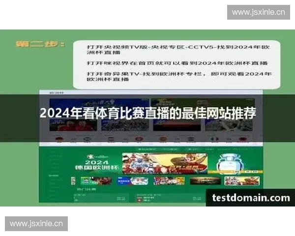 多元化体育直播平台助力体育赛事传播与观众互动新模式研究